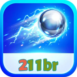 211br
